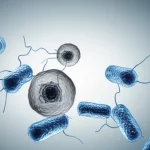 Un'illustrazione artistica che mostra la connessione tra il microbioma intestinale e la pelle affetta da vitiligine, con melanociti e batteri visibili, obiettivo prime 35mm, effetto duotone blu e grigio per un look scientifico ma accattivante.
