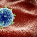 Conceptual image: A microscopic diatom biosilica particle functionalized with antibodies, depicted as a tiny delivery vehicle approaching a lymphoma cell. Macro lens, high detail, precise focusing.