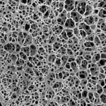 Fotografia macro ad alta definizione di una membrana Janus al collagene multifunzionale per la rigenerazione ossea avanzata. Un lato mostra una texture densa e liscia, l'altro una struttura porosa. Illuminazione da studio controllata per enfatizzare i dettagli tridimensionali e la biocompatibilità del materiale, obiettivo macro 100mm, messa a fuoco precisa sulle diverse superfici.
