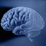 Illustrazione concettuale della percezione visiva che confronta un oggetto reale ben definito con un'immagine residua eterea e sfocata, con un cervello stilizzato sullo sfondo che analizza entrambi i segnali visivi. Obiettivo prime 35mm, stile film noir con duotono blu e grigio per enfatizzare il mistero e la complessità della percezione.