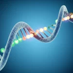 Immagine fotorealistica di una doppia elica di DNA con segmenti luminosi che simboleggiano mutazioni genetiche, su uno sfondo astratto blu che richiama la ricerca scientifica. Obiettivo macro, 100mm, high detail, illuminazione da studio per un look pulito e scientifico.