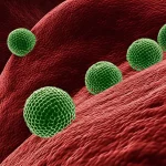 Nanoparticelle ultrasmall superparamagnetiche coniugate con peptidi FROP-1, visualizzate come sfere minuscole e brillanti, che si legano selettivamente alla superficie di cellule di cancro al seno stilizzate all'interno di un ambiente che simula la risonanza magnetica. Obiettivo macro, 85mm, alto dettaglio, messa a fuoco precisa sulle nanoparticelle legate alle cellule, illuminazione controllata che enfatizza l'interazione.