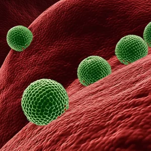 Nanoparticelle ultrasmall superparamagnetiche coniugate con peptidi FROP-1, visualizzate come sfere minuscole e brillanti, che si legano selettivamente alla superficie di cellule di cancro al seno stilizzate all'interno di un ambiente che simula la risonanza magnetica. Obiettivo macro, 85mm, alto dettaglio, messa a fuoco precisa sulle nanoparticelle legate alle cellule, illuminazione controllata che enfatizza l'interazione.
