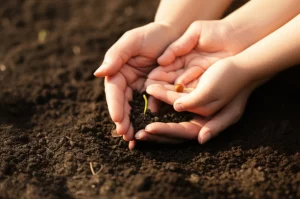 Primo piano di due mani, una adulta e una di bambino, che piantano insieme un piccolo seme nel terreno fertile, 50mm prime lens, depth of field, luce morbida del mattino, simboleggiando la trasmissione di valori prosociali dall'infanzia all'età adulta.