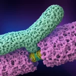 Illustrazione fotorealistica del complesso del cinetocore del Trypanosoma brucei che interagisce con un cromosoma, con la proteina KKT23 evidenziata, all'interno di una cellula stilizzata, dettagli molecolari precisi, macro lens 80mm.