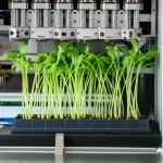 Photorealistic image of a complex agricultural machine designed for grafting six vegetable seedlings simultaneously, high detail, precise focusing, controlled lighting, macro lens, objects, plants.