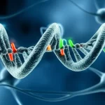 Immagine fotorealistica di una doppia elica di DNA stilizzata, macro lens 100mm, con nucleotidi luminosi che simboleggiano varianti genetiche, su uno sfondo astratto di cellule neurali. Illuminazione controllata, alta definizione, focus preciso sui dettagli genetici.
