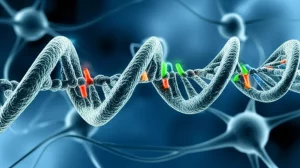 Immagine fotorealistica di una doppia elica di DNA stilizzata, macro lens 100mm, con nucleotidi luminosi che simboleggiano varianti genetiche, su uno sfondo astratto di cellule neurali. Illuminazione controllata, alta definizione, focus preciso sui dettagli genetici.