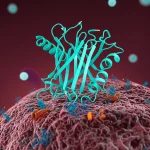 Visualizzazione 3D fotorealistica della proteina GIMAP8 (struttura molecolare dettagliata) che interagisce con recettori sulla membrana di una cellula di adenocarcinoma polmonare, all'interno di un microambiente tumorale stilizzato con cellule immunitarie in background, alta dettaglio, illuminazione scientifica, stile rendering molecolare avanzato.