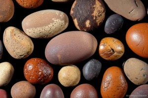 A collection of different types of papillary kidney stones, macro lens, 100mm, displayed with high detail and precise focusing under controlled lighting, highlighting their varied textures and compositions.