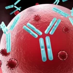 Photorealistic image of a stylized representation of antibodies shielding a cell from a virus, macro lens, 100mm, high detail, precise focusing, controlled lighting