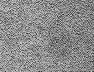 Macro fotografia, lente 60mm, della texture porosa di un campione di geopolimero grigio-scuro in laboratorio, con piccole particelle lucide (simulazione di metalli adsorbiti) visibili sulla superficie, illuminazione controllata e precisa, alta definizione.