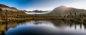 Angolo largo, 10-24 mm, una vista panoramica mozzafiato del Chingaza Páramo in Colombia all'alba, con nebbia aggrappata alle valli tra le montagne coperte di piante fralilejones, una lunga esposizione per acqua liscia o nuvole, focus acuto sulla flora unica, evidenziando eterogeneità ambientale.