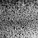 A highly detailed macro photograph, 60mm lens, of a synthesized diamond film showcasing its nanocrystalline structure, with controlled lighting to emphasize its smooth, yet incredibly hard surface. Tiny, almost invisible facets catch the light, hinting at its diamond nature.