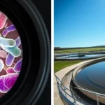 A diptych image representing the research scope: Left side shows a high-detail macro view of diverse gut bacteria (macro lens, 60mm). Right side shows a wide-angle landscape view of a wastewater treatment plant under a wide sky (wide-angle, 10mm, sharp focus).