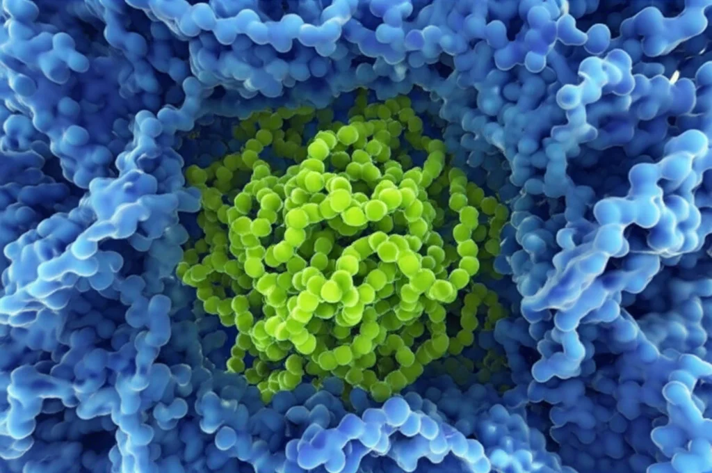 Immagine concettuale fotorealistica che mostra una catena proteica disordinata (denaturata) che entra in una struttura porosa cristallina astratta (rappresentante un COF) e ne emerge come una proteina perfettamente ripiegata e funzionale. Macro lens 70mm, high detail, depth of field, illuminazione suggestiva che evidenzia il processo di trasformazione.
