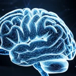 Immagine concettuale di una rete neurale cerebrale umana stilizzata, con nodi luminosi che rappresentano regioni corticali e connessioni brillanti che simboleggiano la somiglianza morfologica. L'immagine ha un aspetto high-tech e medico, con un focus sulla complessità e l'interconnessione. Prime lens, 35mm, depth of field, con toni blu elettrico e argento su sfondo scuro per un look futuristico e pulito, evocando l'analisi avanzata del cervello.
