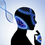 Fotografia di ritratto, lente da 35 mm, profondità di campo, duotone (ciano e magenta), che mostra un'immagine concettuale di sagome gemelle. Una silhouette contiene mitocondri luminosi e fili di DNA, mentre l'altra mostra cellule di tessuto adiposo. Una sottile linea di collegamento tra loro simboleggia la ricerca che collega questi elementi all'obesità.