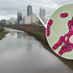 Paesaggio grandangolare, lenti da 15 mm, che mostra un fiume urbano leggermente inquinato che scorre attraverso una città, giustapposto con una bolla di inserto per la vista microscopica che mostra colonie di batteri colorate (Bacillus e Comamonas) attivamente precelando i minerali intorno a loro, simboleggiando la biorisedio in azione, focus acuto, sottile illuminazione naturale.