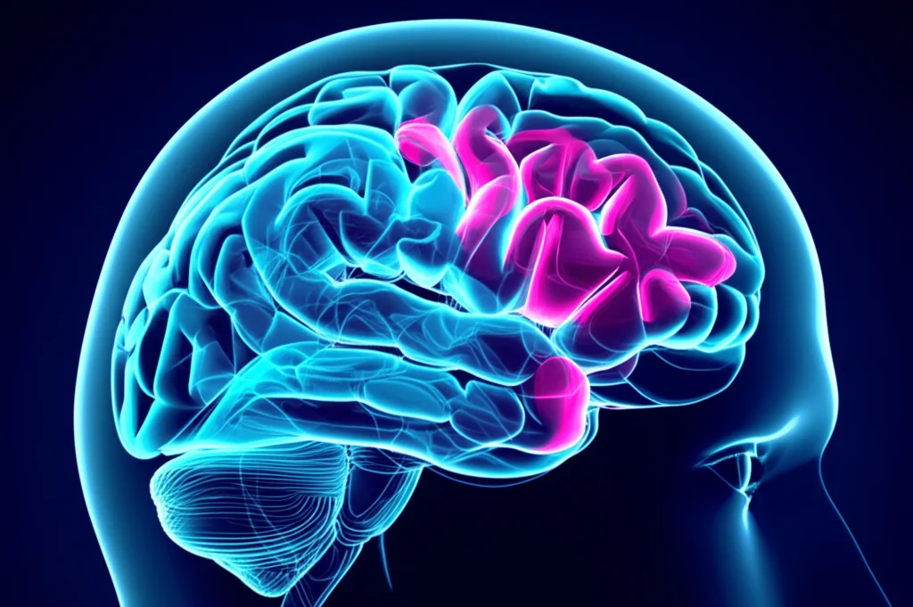 Visualizzazione artistica 3D del cervello umano con aree illuminate che rappresentano l'attività neuronale anomala tipica dell'epilessia, con un focus sulle molecole TPPP3, PCSK1, DPYSL3. Utilizzare un obiettivo grandangolare 24mm per una vista d'impatto, con colori duotone ciano e magenta per enfatizzare la complessità scientifica e le scoperte molecolari.