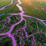 Immagine concettuale che fonde un paesaggio naturale complesso, come una rete fluviale vista dall'alto, con sovrapposizioni di formule matematiche frattali luminose, rappresentando l'applicazione del calcolo frazionario alla modellazione di fenomeni reali. Obiettivo grandangolare 24mm, messa a fuoco nitida su tutta la scena, luce del tardo pomeriggio.