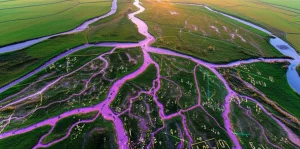 Immagine concettuale che fonde un paesaggio naturale complesso, come una rete fluviale vista dall'alto, con sovrapposizioni di formule matematiche frattali luminose, rappresentando l'applicazione del calcolo frazionario alla modellazione di fenomeni reali. Obiettivo grandangolare 24mm, messa a fuoco nitida su tutta la scena, luce del tardo pomeriggio.