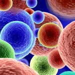 Immagine concettuale fotorealistica dell'immunoterapia del cancro potenziata da PVTX-405: una visualizzazione 3D di cellule T immunitarie (blu elettrico, brillanti) che attaccano aggressivamente cellule tumorali (rosse scure, opache) all'interno di un microambiente complesso. La molecola PVTX-405 è rappresentata come piccole particelle dorate che facilitano l'attacco indebolendo le cellule T regolatorie (verde pallido, in dissolvenza). Lente prime 35mm, profondità di campo accentuata, illuminazione drammatica con contrasti forti.