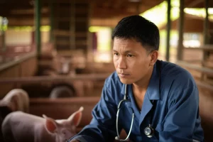 Un veterinario in Laos esamina un maiale in un piccolo allevamento, con un'espressione preoccupata. L'immagine è scattata con un obiettivo da 35mm, utilizzando la luce naturale del tardo pomeriggio per creare un'atmosfera realistica e leggermente drammatica, con una profondità di campo che sfoca leggermente lo sfondo per concentrarsi sul soggetto.