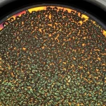 Primo piano di un film sottile di biossido di titanio modificato con nanoparticelle di palladio, depositato su vetro, che mostra un effetto iridescente sotto una luce focalizzata, suggerendo proprietà fotocatalitiche avanzate. Obiettivo macro 90mm, alta definizione, illuminazione controllata.