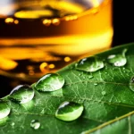 Foglie verdi brillanti della pianta Pterocarpus marsupium in primo piano, con goccioline d'acqua che riflettono la luce, e sullo sfondo sfocato una beuta da laboratorio contenente una soluzione colloidale di nanoparticelle d'argento dal colore bruno-giallastro. Macro lens, 85mm, high detail, precise focusing, controlled lighting, depth of field.