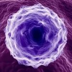 Immagine fotorealistica di un globulo bianco visto al microscopio elettronico, altissima definizione, illuminazione drammatica laterale, obiettivo macro 105mm, messa a fuoco selettiva sul nucleo cellulare viola intenso e sui granuli citoplasmatici, dettagli intricati della membrana cellulare visibili.