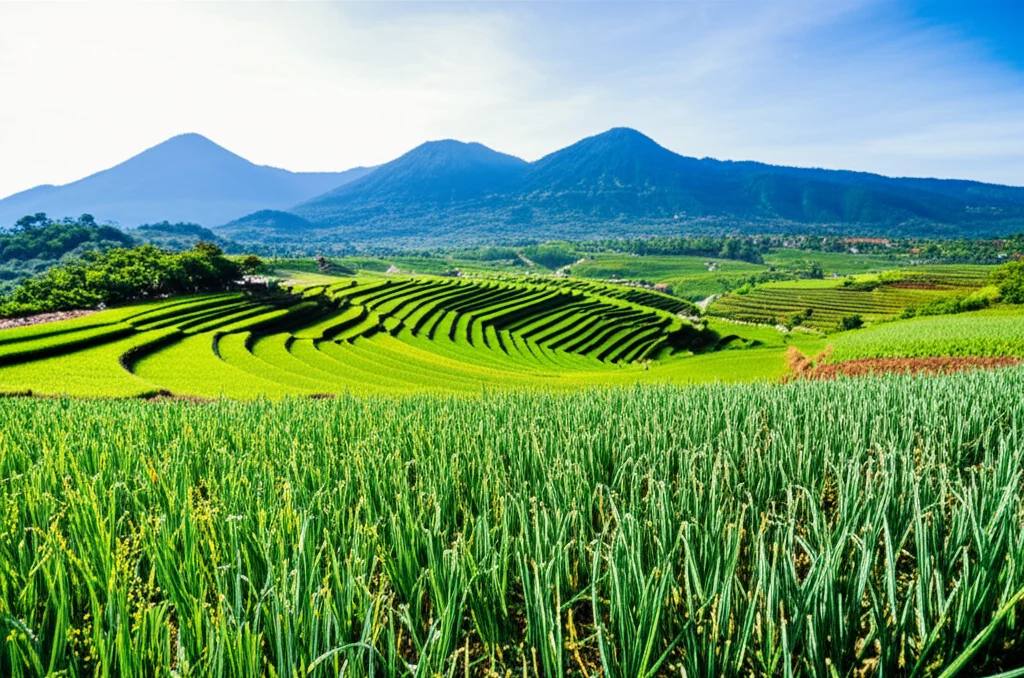 A wide-angle landscape photo, 10mm focal length, sharp focus, showing vibrant green garlic fields stretching across a valley in Indonesia, with mountains in the background under a clear sky.