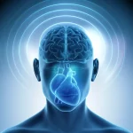Immagine concettuale fotorealistica che mostra un cervello stilizzato con onde magnetiche emanate da un dispositivo rTMS che si collegano a un cuore umano sottostante, simboleggiando l'asse cuore-cervello e l'influenza della stimolazione cerebrale sulla funzione cardiaca. Obiettivo 50mm, profondità di campo media, illuminazione soffusa ma focalizzata sui punti di connessione, sfondo neutro leggermente sfocato.