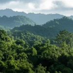 Immagine fotorealistica di un paesaggio diversificato dell'Asia Monsonica, che spazia da terreni aridi a foreste lussureggianti sotto un cielo parzialmente nuvoloso, con un focus sulla texture del suolo umido dopo una pioggia. Obiettivo grandangolare 20mm, luce naturale diffusa, alta definizione per mostrare la complessità dell'interazione suolo-atmosfera.