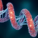 Macro lens, 100mm, high detail, controlled lighting, rappresentazione 3D astratta e stilizzata di molecole di RNA circolari (circRNA) e microRNA (miRNA) che si intrecciano, con colori brillanti su sfondo scuro per evidenziare la complessità delle interazioni molecolari nel campo della bioinformatica.