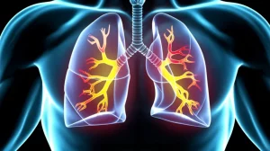 Visualizzazione 3D di polmoni con aree evidenziate che indicano il flusso d'aria e il reclutamento alveolare, stile rendering medico scientifico, obiettivo macro 60mm, alta definizione dei dettagli, illuminazione che enfatizza le texture polmonari.