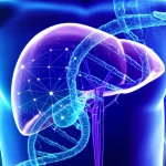 Visualizzazione artistica e fotorealistica di una rete neurale complessa e luminosa, i cui nodi si interconnettono dinamicamente con una rappresentazione stilizzata ma dettagliata del fegato umano e con filamenti di DNA che fluttuano elegantemente. L'intera scena è illuminata da luci al neon blu e viola che creano un'atmosfera high-tech e futuristica. Obiettivo prime 35mm, con una notevole profondità di campo per mettere a fuoco gli elementi centrali e sfocare leggermente lo sfondo, evocando un senso di scoperta scientifica.