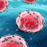 Visualizzazione artistica fotorealistica del sistema immunitario sotto attacco da particelle di piombo. Cellule immunitarie vibranti e sane sono contrastate da altre che appaiono danneggiate e spente, con piccole sfere scure (piombo) adese. Utilizzare un obiettivo macro da 100mm per dettagli estremi, con illuminazione drammatica laterale per evidenziare texture e profondità, creando un'atmosfera da laboratorio scientifico.