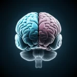 Fotografia di un cervello umano stilizzato con diverse aree illuminate a rappresentare le regioni sanitarie svedesi, obiettivo prime 35mm, duotone blu e argento, profondità di campo per simboleggiare le complessità e le interconnessioni nella gestione del trauma cranico a livello nazionale.