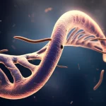 Immagine concettuale di filamenti di DNA che si intrecciano con la sagoma stilizzata del verme Ascaris lumbricoides, a simboleggiare l'epidemiologia molecolare. Illuminazione drammatica, high detail, macro lens, 60mm.