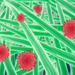Immagine concettuale, macro lens 70mm, che mostra nanoparticelle luminescenti verdi (Zn/CQDs) derivate da fibre stilizzate di canna da zucchero, interagire in modo protettivo con cellule epatiche (epatociti) stilizzate e danneggiate (colore più scuro), contro molecole tossiche rappresentate da piccole sfere rosse. Alta definizione, messa a fuoco precisa sulle nanoparticelle, illuminazione controllata che enfatizza l'effetto protettivo.