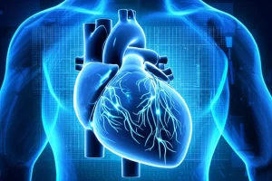 Immagine fotorealistica concettuale: un cuore umano stilizzato ma anatomicamente corretto, illuminato da raggi X digitali bluastri. Sovrapposti al cuore, circuiti neurali luminosi rappresentano l'intelligenza artificiale che analizza le arterie coronarie e il ventricolo sinistro. Obiettivo macro 100mm, alta definizione, illuminazione controllata per un look high-tech e medico.