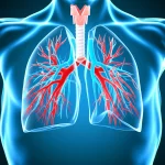 Immagine fotorealistica di una ricostruzione 3D del polmone umano generata da intelligenza artificiale, visualizzata su uno schermo medico futuristico. Dettagli anatomici precisi di vasi e bronchi in evidenza con colori distinti (rosso arterie, blu vene, bianco bronchi). Obiettivo macro 80mm, illuminazione da studio controllata, alta definizione, sfondo neutro scuro.