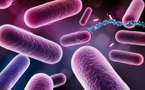 Immagine artistica e scientifica di batteri Klebsiella pneumoniae che mostrano la variazione di fase capsulare. Alcuni batteri sono vividamente incapsulati, brillanti sotto una luce simulata al microscopio, mentre altri appaiono 'nudi', senza capsula, evidenziando il meccanismo di 'accensione/spegnimento'. Sullo sfondo, sequenze di DNA stilizzate e plasmidi fluttuanti suggeriscono il trasferimento genico. Macro lens, 100mm, high detail, precise focusing, controlled lighting, con un leggero effetto 'glow' sui batteri incapsulati per enfatizzare la virulenza.