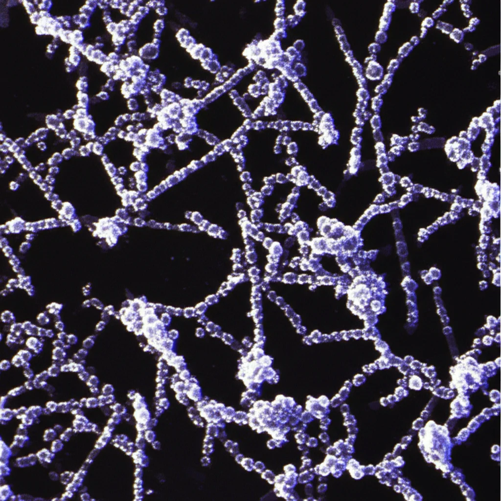 Immagine fotorealistica di nanoparticelle di ZnO e SnO2 che formano un nanocomposito su un substrato di vetro, con luce UV che le illumina evidenziando la loro struttura porosa e aggregata. Obiettivo macro 90mm, illuminazione laterale drammatica per enfatizzare la texture tridimensionale, alta definizione dei dettagli delle particelle e della superficie del film.