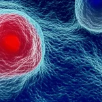 Visualizzazione 3D fotorealistica di un macrofago che fagocita batteri di Mycobacterium tuberculosis. In primo piano, un dettaglio della membrana cellulare del macrofago dove il complesso proteico mTORC2 è illuminato, indicando la sua attivazione. I batteri CFP-10 positivi sono visibili mentre vengono inglobati. Illuminazione drammatica con chiaroscuri, obiettivo macro 100mm, alta risoluzione, effetto profondità di campo per isolare l'interazione.