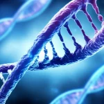 Visualizzazione artistica e fotorealistica di filamenti di DNA e RNA che interagiscono all'interno di un nucleo cellulare, con luci soffuse che evidenziano la complessità della regolazione genica. Obiettivo 35mm, profondità di campo, duotono blu e magenta.