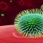 Immagine concettuale fotorealistica: una proteina lisina ingegnerizzata (p-ClyC) che attacca selettivamente batteri Staphylococcus aureus all'interno di cellule polmonari stilizzate, obiettivo prime 35mm, profondità di campo, illuminazione drammatica, a simboleggiare la terapia mirata contro le infezioni intracellulari.