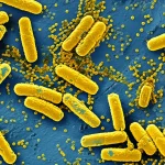 Immagine al microscopio elettronico di batteri Pantoea dispersa che colonizzano una superficie, simboleggiando la loro ubiquità e diversità genetica. Macro lens, 90mm, high detail, precise focusing, controlled lighting, colori naturali leggermente enfatizzati.