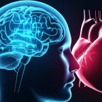 Un'immagine concettuale che mostra un cervello stilizzato con circuiti di intelligenza artificiale luminosi che si collegano a un cuore umano rosso pulsante, simboleggiando la predizione di malattie cardiovascolari tramite machine learning. Prime lens, 24mm, depth of field, film noir con accenti rossi.